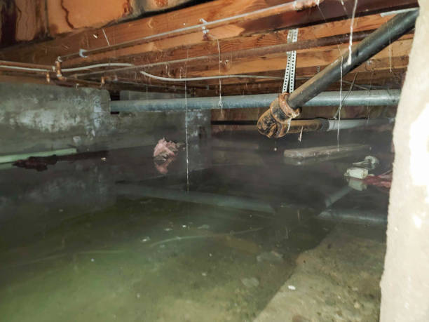 Reliable Council Bluffs, IA Water damage restoration Solutions