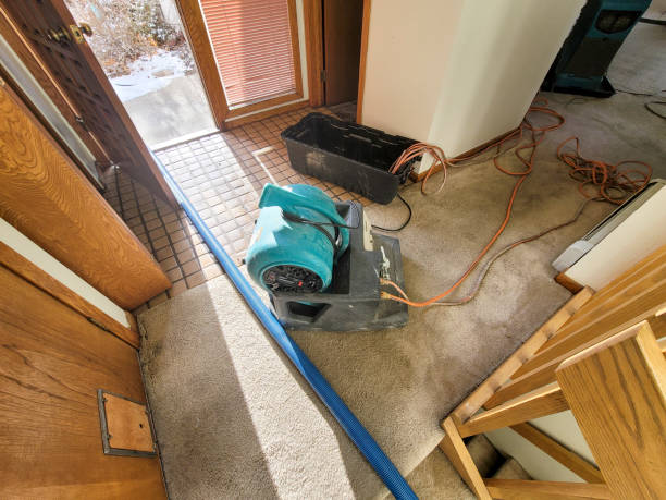 Reliable Council Bluffs, IA Water damage restoration Solutions