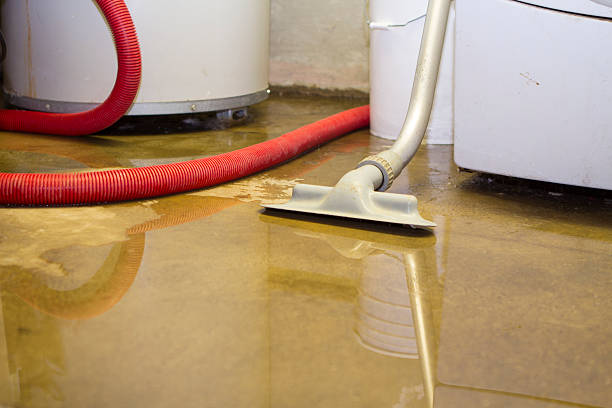 Best Sewage cleanup and water damage restoration  in Council Bluffs, IA